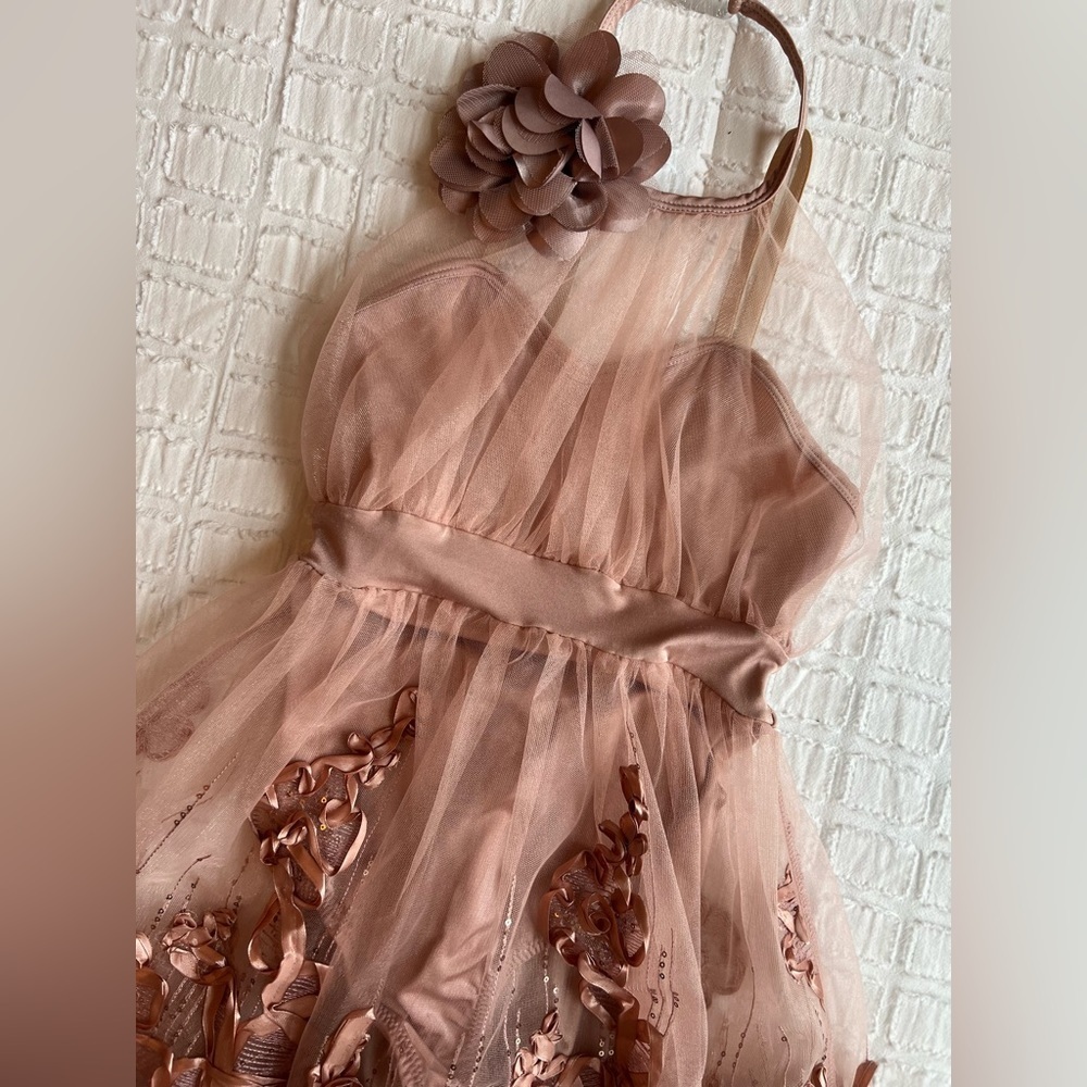 Curtain Call Dancers Performance Dress Costume Style:Eyes Open Color:Rose 10/12